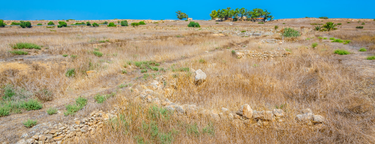 Combating desertification through regenerative approaches