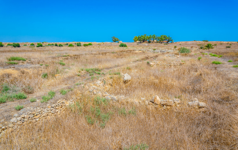 Combating desertification through regenerative approaches